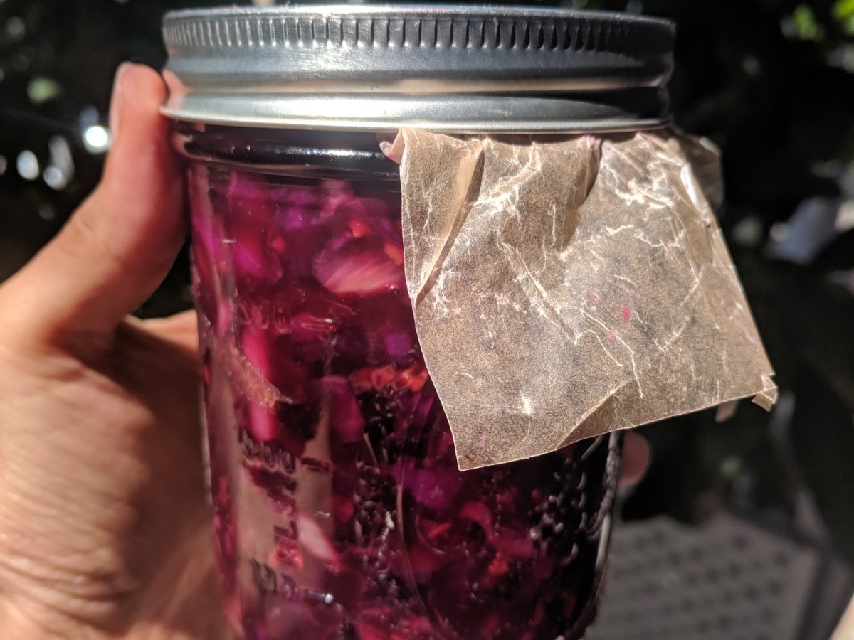 7 Tips to Maintain a Healthy Gut (includes recipe for herbal&nbsp;sauerkraut)